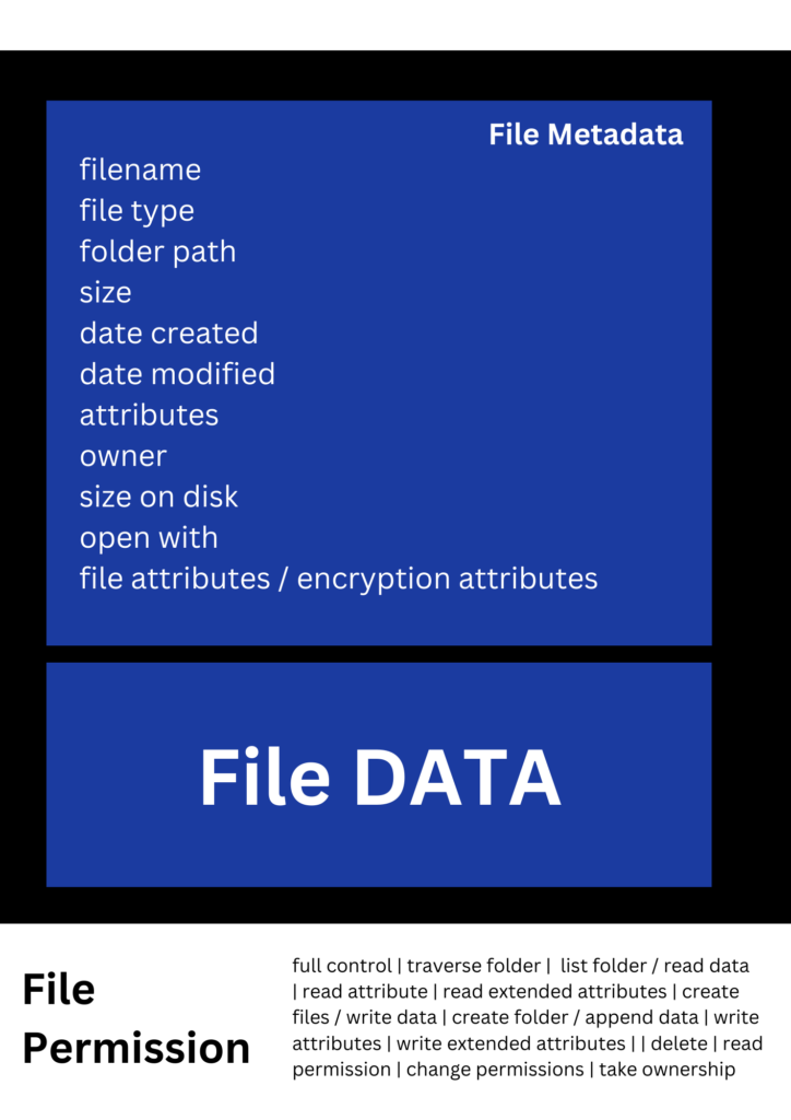 File Permission and Metadata